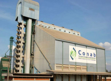 Privatização de armazéns da Conab coloca agricultura familiar em risco