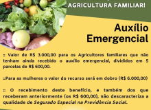 PL 735 Medidas emergenciais para agricultura familiar
