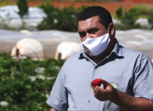 ORGULHO! FETRAF-DFE NO GLOBO RURAL DESSE DOMINGO (27).